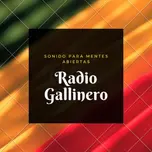 RADIOGALLINERO
