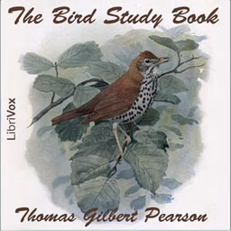 Bird Study Book