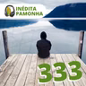 Inédita Pamonha 333 - Capacidade de diagnóstico