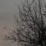 444. Mektûba Guhdar Ro: Li Xwe û Mala Xwe Digerim