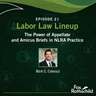 Labor Law Lineup Ep21 -  The Power of Appellate and Amicus Briefs in NLRA Practice