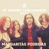 Margaritas Podridas | El Sonido: Cancioneros — Metales Pesados, distorsión, y el nuevo rock latinoamericano