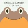Kinabalu Slender Litter Frog | Week of June 1st