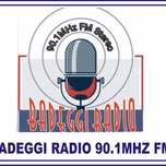 Badeggi Radio