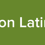 Regueton Latin Music