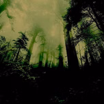 Dark Mystery