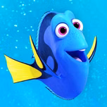radio Dory