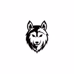 Animal Noctuno