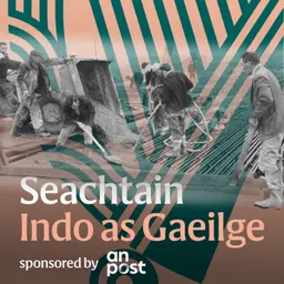‘No Irish need apply’: Scéal na nÉireannach i Sasana