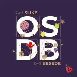Od slike do besede