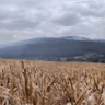 'Significant wildfire' remains active on Slievenamon