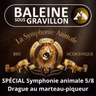 BEST OF D'ÉTÉ #39 Symphonie animale 5/8 : Le tambourinage du Pic, une drague au marteau-piqueur !