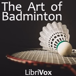 Art of Badminton