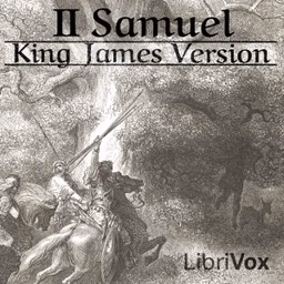 Bible (KJV) 10: 2 Samuel