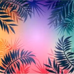 Radio Tropical Bailables