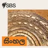 ‘ගත්ත තීරණ ගැන කවදාවත් පසුතැවෙන්නෙ නෑ’ - ගණ වන මුහුද සමග ලාංකීය අත්දැකීම ඔස්ට්‍රේලියාවේ වේදිකාව තුල ජීවමාන කරන නදී කම්මැල්ලවීර
