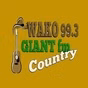 Giant FM - W257DW