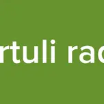 qartuli radio
