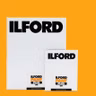 Film Photography Podcast 377 - Ilford Pan F BW Film