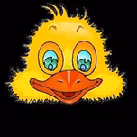 Radio Yellowbird