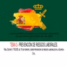 TEMA 3.- PREVENCIÓN DE RIESGOS LABORALES. Real Decreto 179/2005, de 18 de febrero, sobre prevención de riesgos laborales