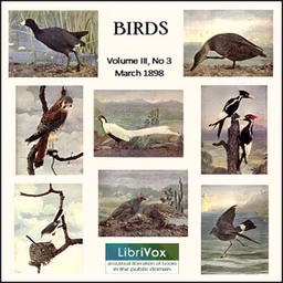 Birds, Vol. III, No 3, March 1898 by Various