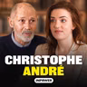 Pourquoi a-t-on autant de mal à ralentir, même en vacances ? avec le psychiatre Christophe André