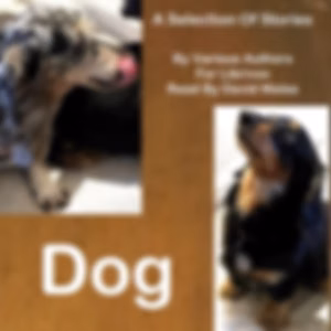 Dog: A Selection of Stories by Various