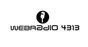Radio 4313