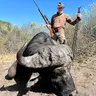 SHOT PLACEMENT on Big Game: American vs. African