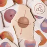 How Many Elementary Particles Are There, Really?