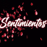 Sentimientos