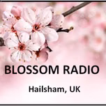 BLOSSOM Radio - Short stories and Poems from around the world