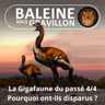 BEST OF D'ÉTÉ #28 La Gigafaune du passé 4/4 : Pourquoi ont-ils disparu ? (Pierre-Olivier Antoine )