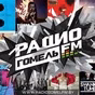Radio Gomel FM 101.3