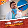 Como o DENTE DO NARVAL cresce?