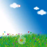 BICI Y EL BAUL DE LOS RECUERDOS