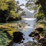Meditación Guiada