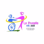 La Prunelle FM Goma- 100.8 MHz