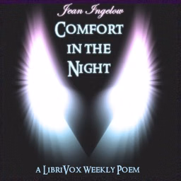 Comfort in the Night