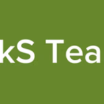 DkS Team
