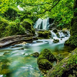 24 Nature