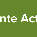 Mente Activa