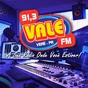 Vale FM 91.3