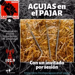 AGUJAS en el PAJAR