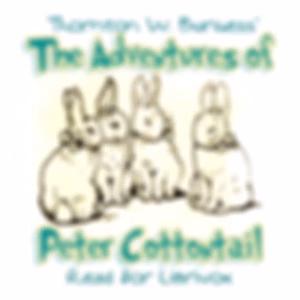 Adventures of Peter Cottontail, The by Thornton W. Burgess (1874 - 1965)