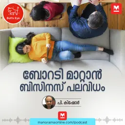 ബോറടി മാറ്റാൻ ബിസിനസ് പലവിധം | New Business Idea | Bulls Eye Podcast