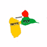 RADIO BIOTE FLY