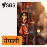 Australian News Headlines: Tuesday, 4 August 2026 - आजका प्रमुख समाचार: मङ्गलवार, ४ अगस्ट २०२६