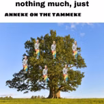 KAERAADIO
